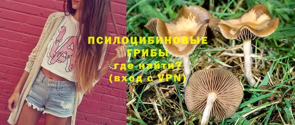 гашик Инта