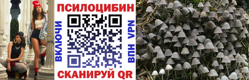 Галлюциногенные грибы Psilocybine cubensis  Светлоград 